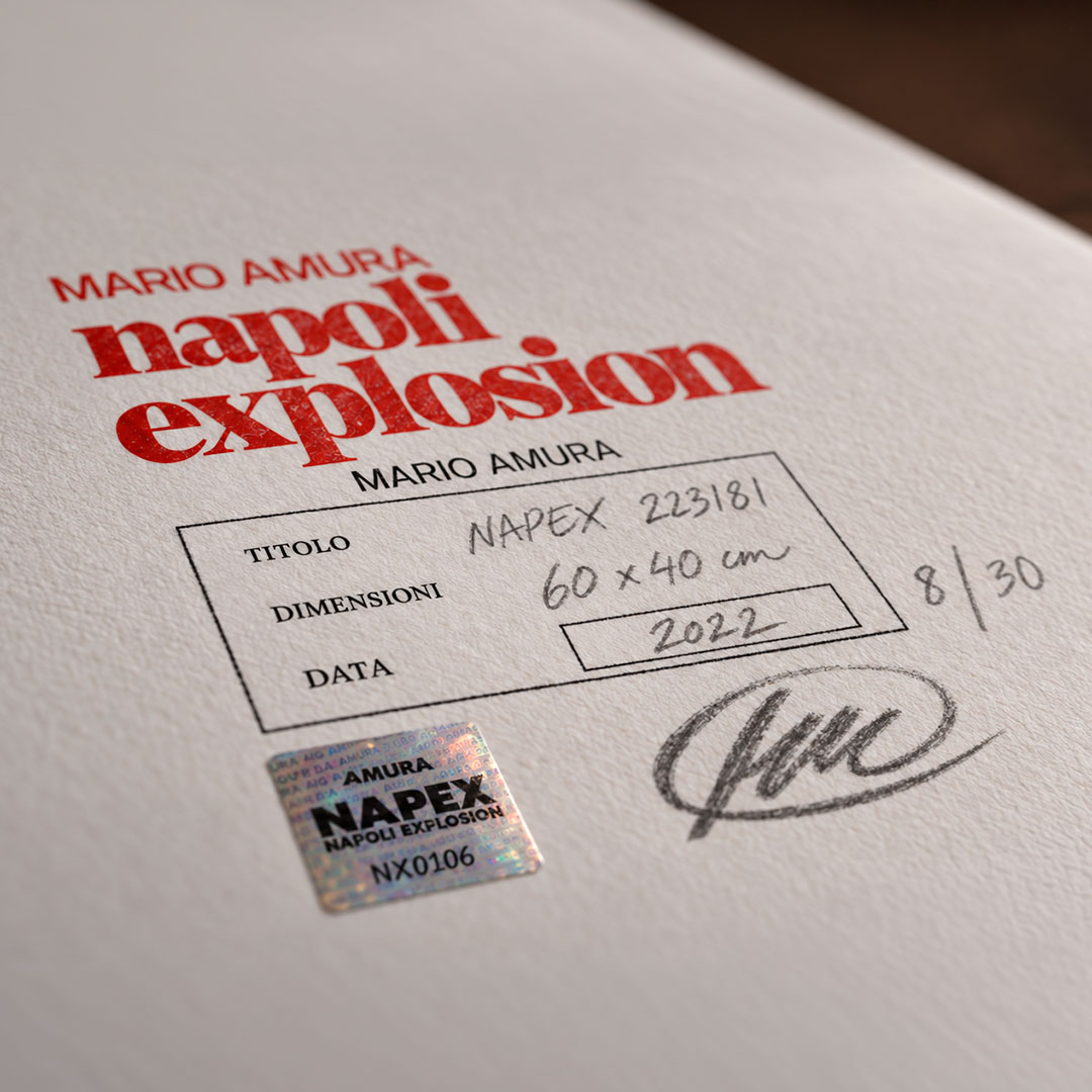 NAPEX 223181 LIMITED - immagine 4